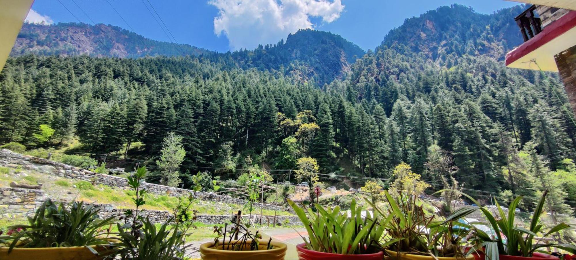 فندق Flipsyde Retreat كاسول المظهر الخارجي الصورة