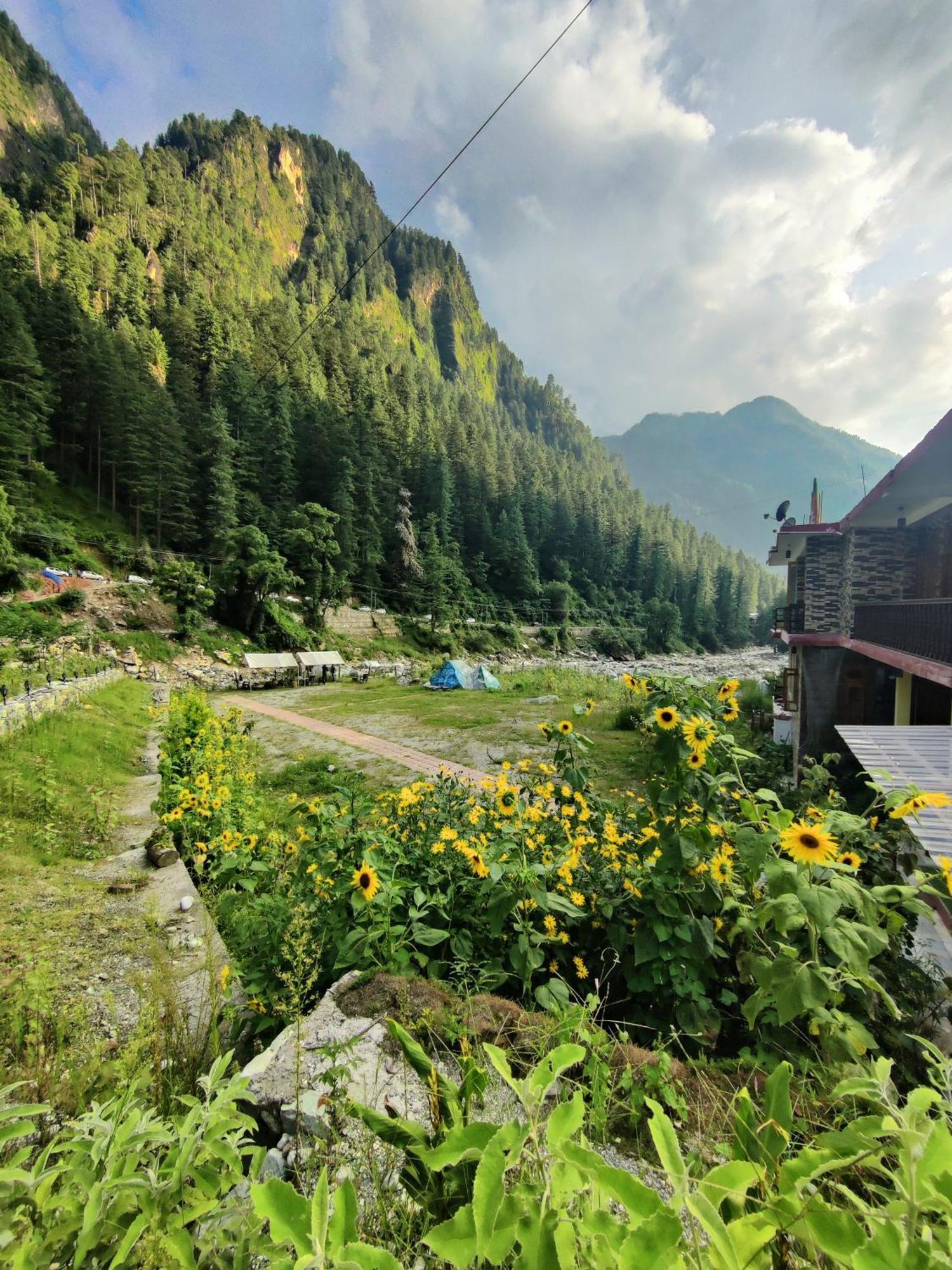 فندق Flipsyde Retreat كاسول المظهر الخارجي الصورة